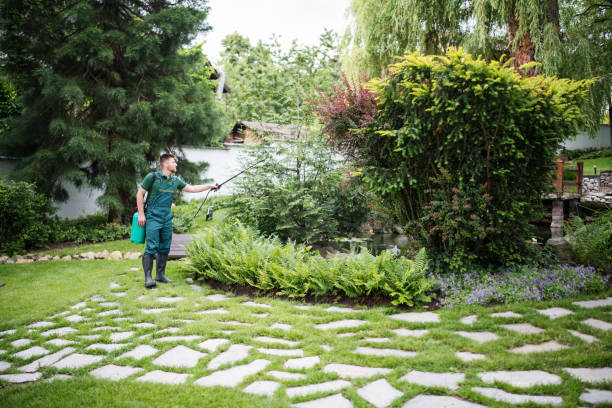 Trusted Garrett, WA Pest Control Experts