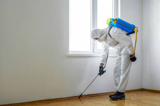 Best Affordable Pest Control Services  in Garrett, WA