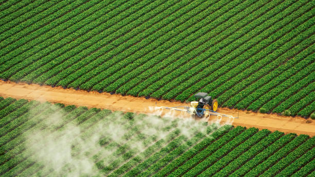 Best Pest Control Treatment  in Garrett, WA