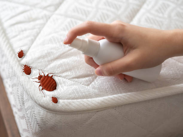 Best Mosquito Control Services  in Garrett, WA