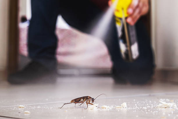 Best Pest Prevention Services  in Garrett, WA
