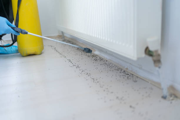 Best Bed Bug Extermination  in Garrett, WA