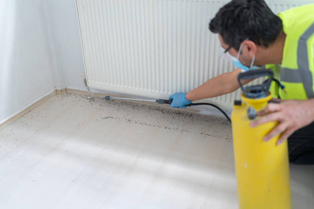 Best Affordable Pest Control Services  in Garrett, WA