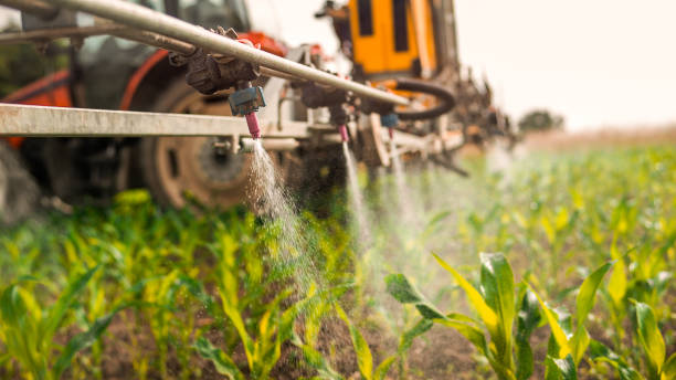 Best Pest Control for Businesses  in Garrett, WA